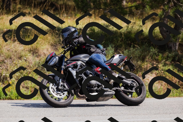 202509131323-_04A8310_c3