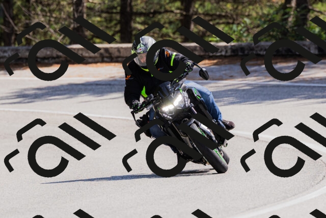 202509131323-_04A8312_c3