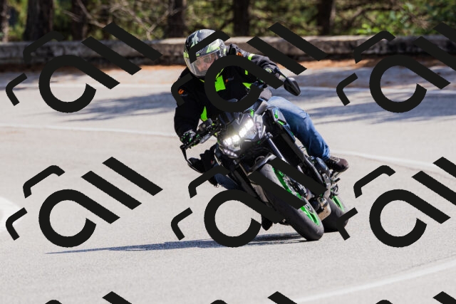 202509131323-_04A8313_c3