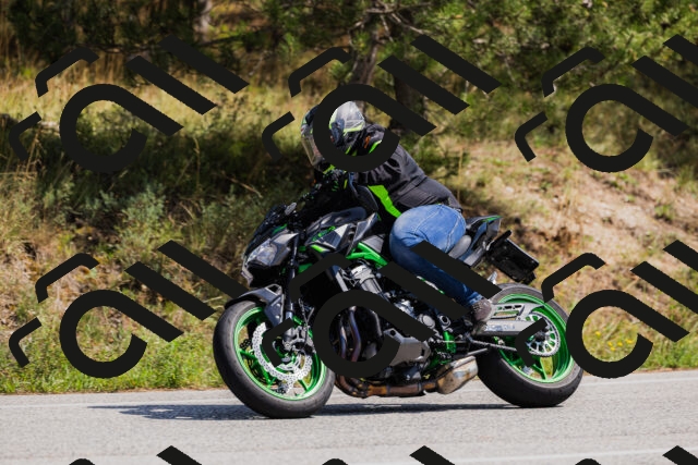 202509131323-_04A8316_c3