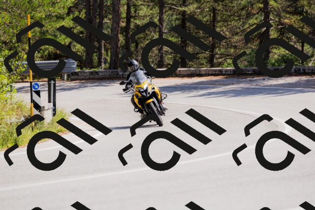 202509131324-_04A8318_c3