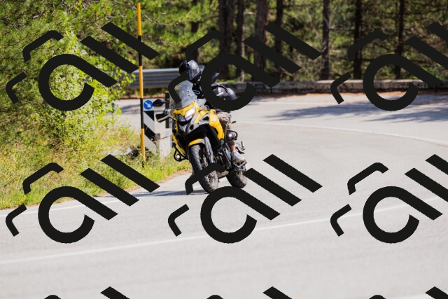 202509131324-_04A8319_c3