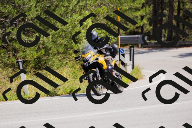 202509131324-_04A8320_c3