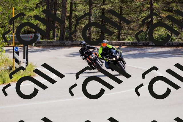 202509131324-_04A8323_c3