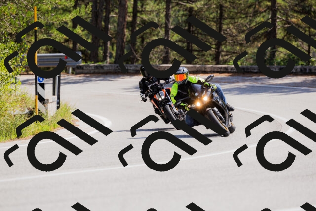 202509131324-_04A8324_c3