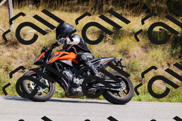 202509131324-_04A8329_c3