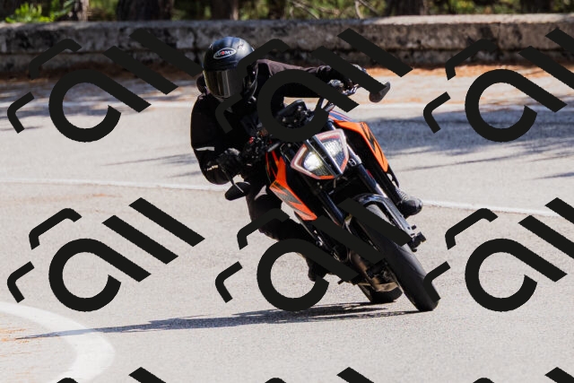 202509131324-_04A8336_c3