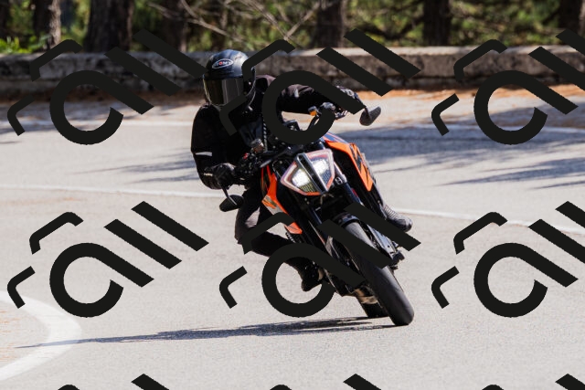 202509131324-_04A8337_c3