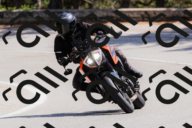 202509131324-_04A8338_c3