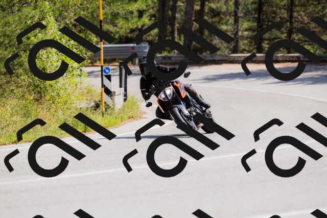 202509131324-_04A8339_c3