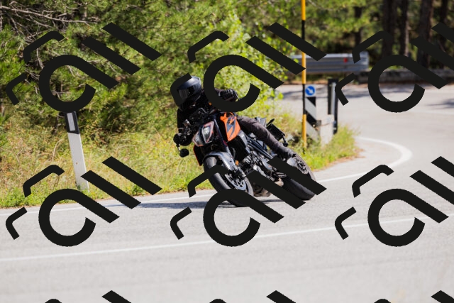 202509131324-_04A8340_c3