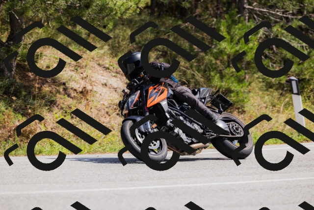 202509131324-_04A8341_c3