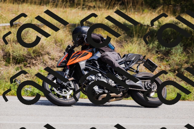 202509131324-_04A8342_c3