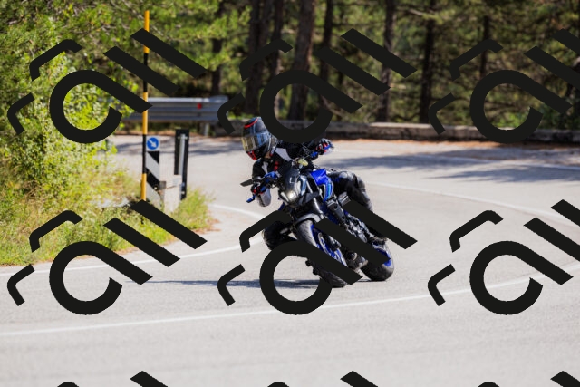 202509131325-_04A8343_c3