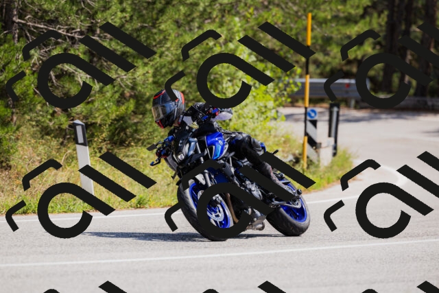 202509131325-_04A8344_c3