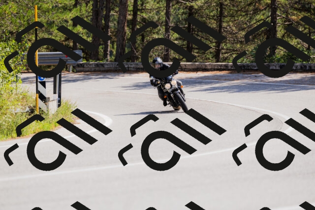 202509131326-_04A8347_c3