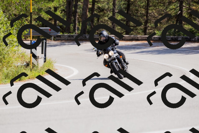 202509131326-_04A8348_c3