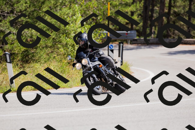 202509131326-_04A8350_c3