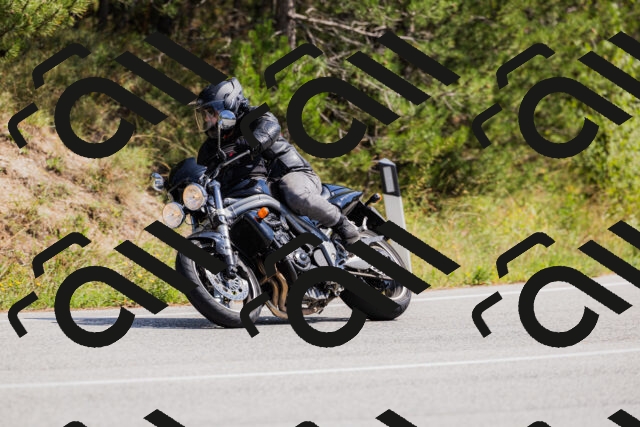 202509131326-_04A8351_c3