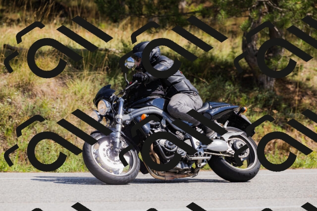 202509131326-_04A8352_c3