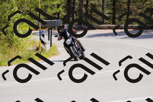 202509131326-_04A8353_c3