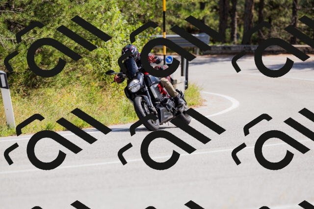 202509131326-_04A8354_c3