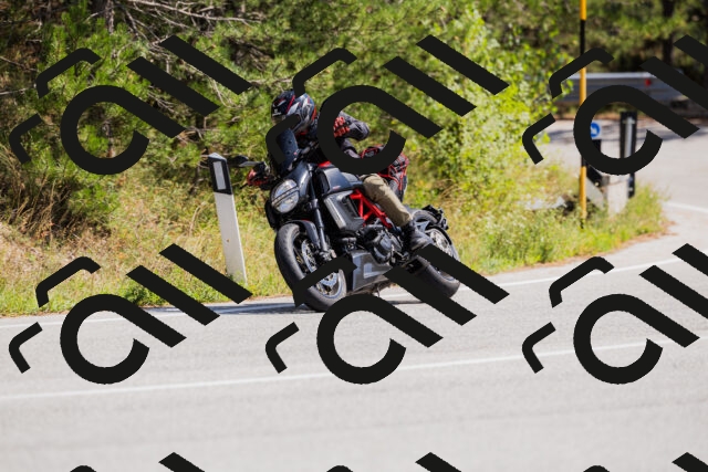 202509131326-_04A8355_c3