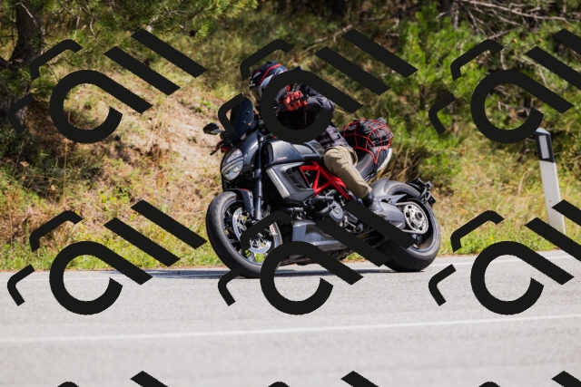 202509131326-_04A8356_c3