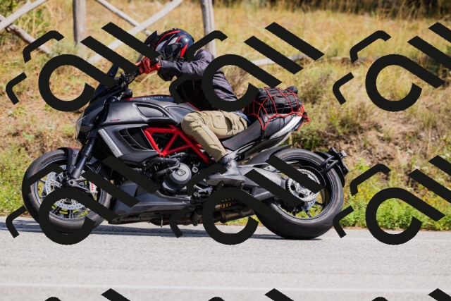 202509131326-_04A8358_c3