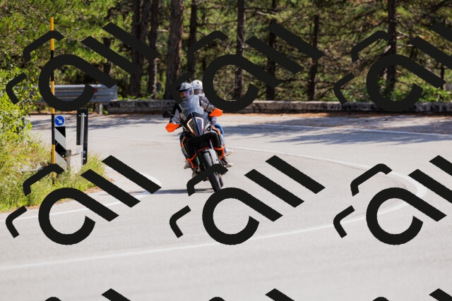 202509131328-_04A8359_c3