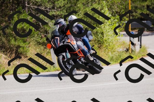 202509131328-_04A8362_c3