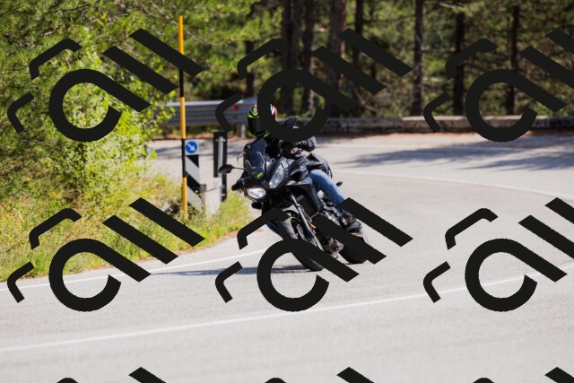 202509131328-_04A8363_c3