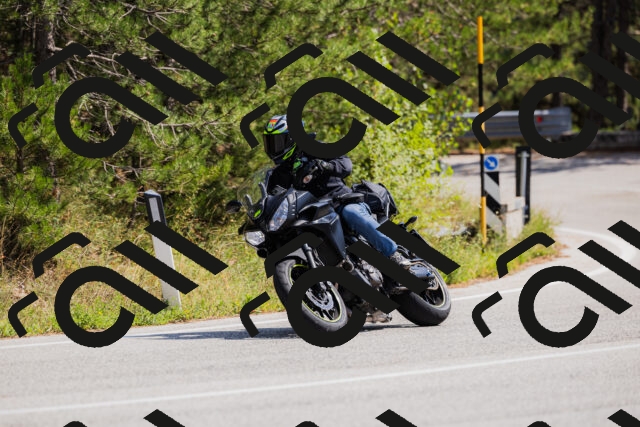 202509131328-_04A8364_c3