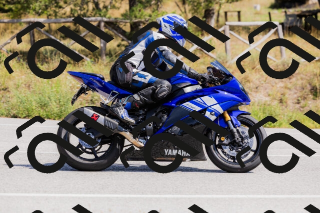 202509131328-_04A8366_c3