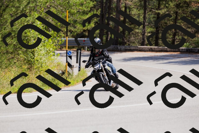 202509131328-_04A8368_c3