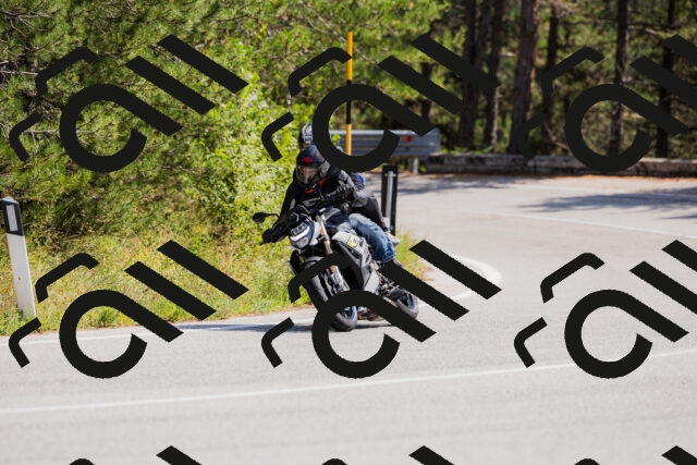 202509131328-_04A8369_c3