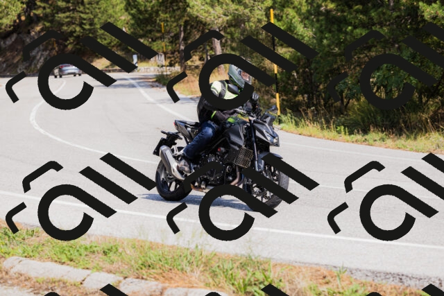 202509131328-_04A8374_c3