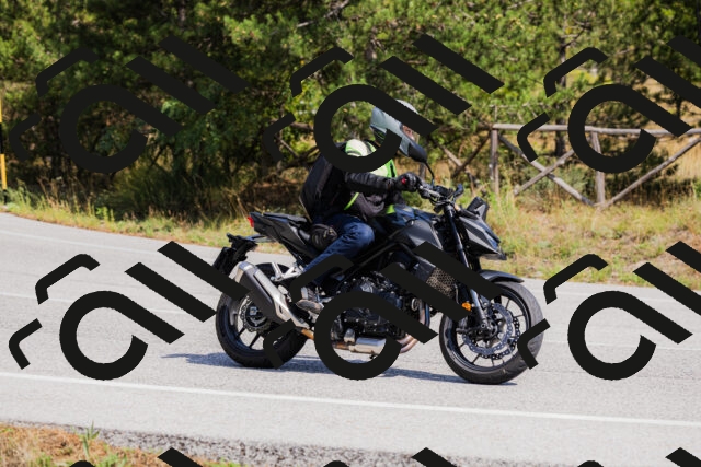 202509131328-_04A8375_c3