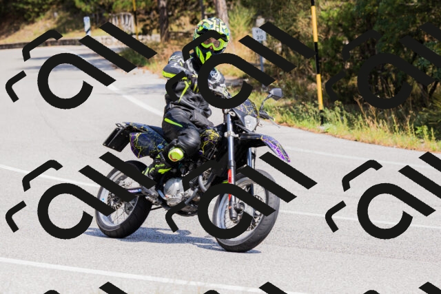 202509131328-_04A8376_c3