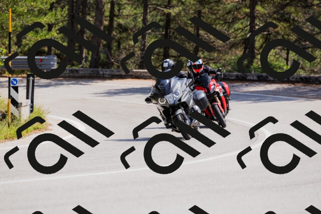 202509131330-_04A8381_c3