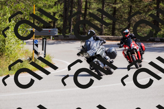 202509131330-_04A8382_c3