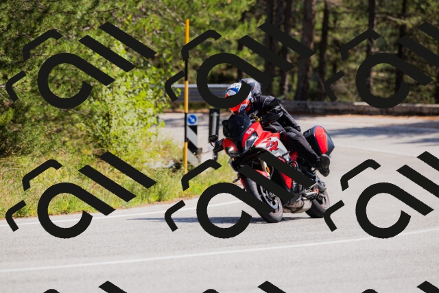 202509131330-_04A8383_c3