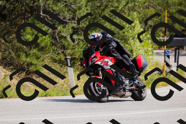 202509131330-_04A8384_c3