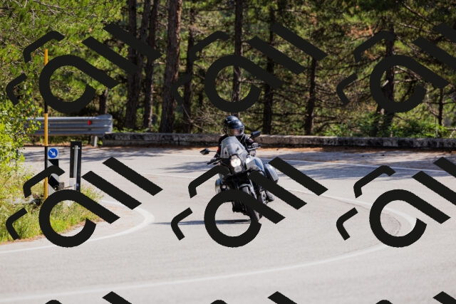 202509131330-_04A8391_c3