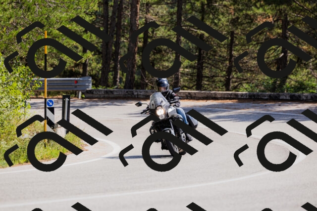 202509131330-_04A8392_c3