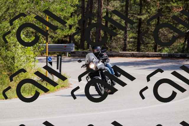 202509131330-_04A8393_c3