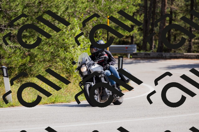 202509131330-_04A8394_c3