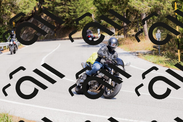 202509131330-_04A8400_c3