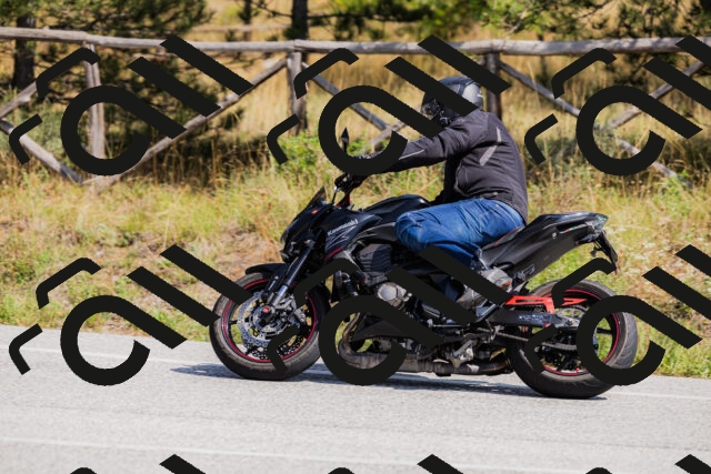 202509131330-_04A8406_c3