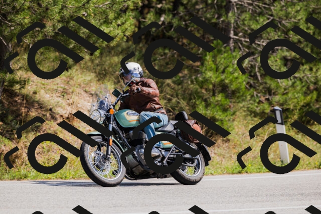 202509131331-_04A8410_c3